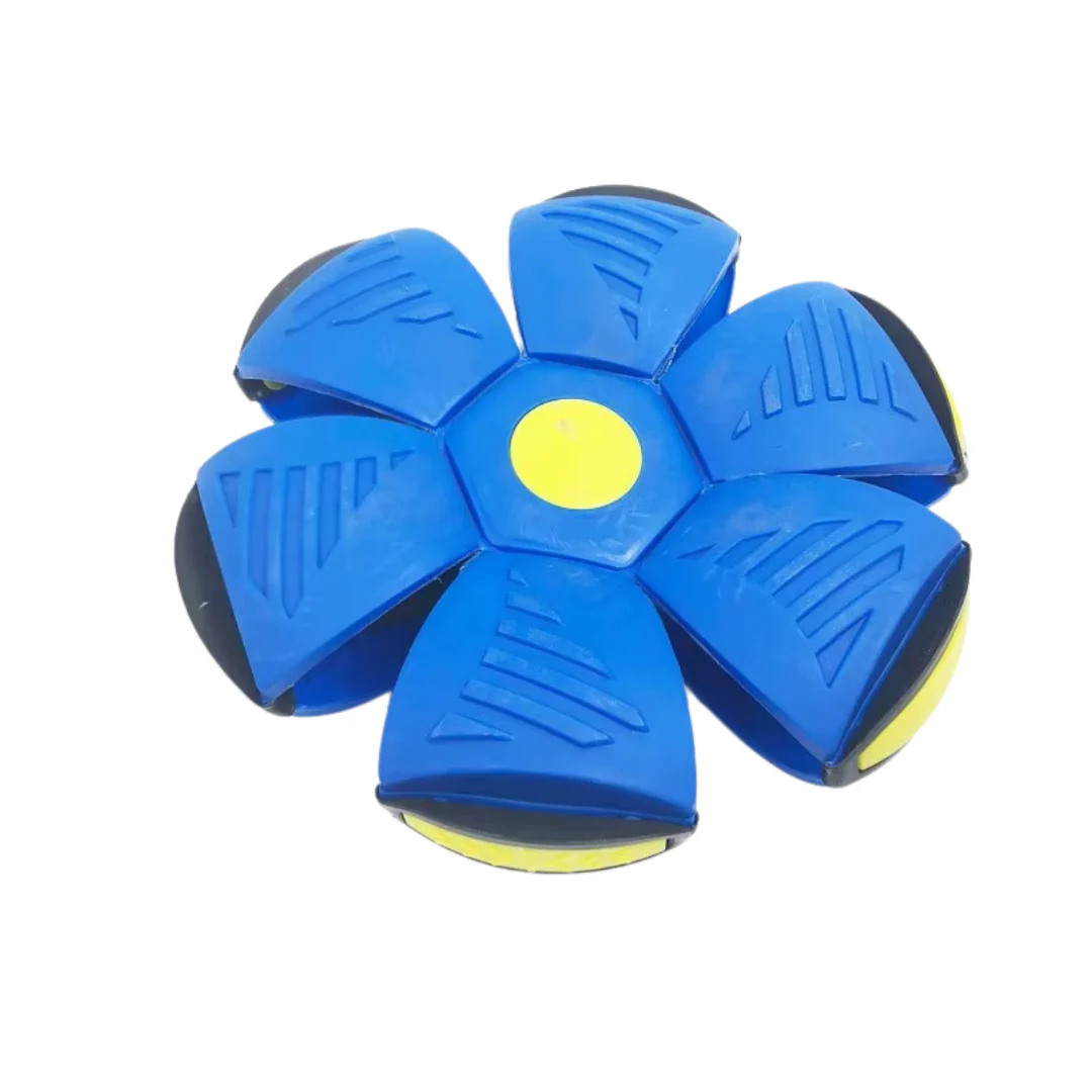 MorphoFly - Image 3